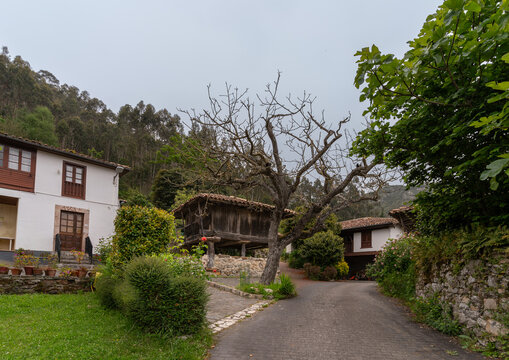 Asturian horreo (construction to preserve food) in the Town of Cuevas. Ribadesella. Asturias