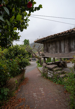 vertical composition. Asturian horreo (construction to preserve food) in the Town of Cuevas. Ribadesella. Asturias