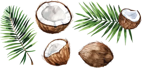 Fotobehang A set of watercolor coconut and palm leaves vector illustrations. Collection of isolates for labels, prints, banners. Watercolor illustration on white background. Summer fruit painting illustration © Chelebi