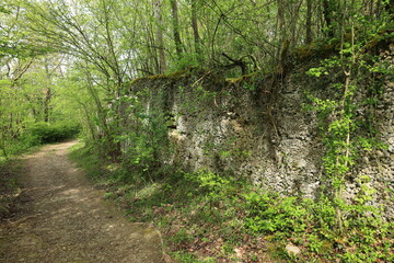 Mauer aus Magerbeton im Heckengäu bei Großglattbach
