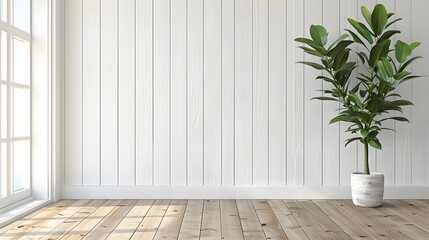 白い壁と観葉植物 - obrazy, fototapety, plakaty