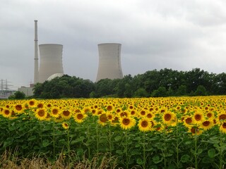 Impressionen aus Bergrheinfeld in Unterfranken