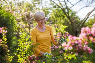 Happy senior woman enjoys looking at flowers in her garden. - 790818815