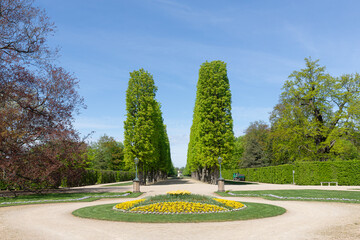 Kastanienallee im Schlosspark Pillnitz - obrazy, fototapety, plakaty