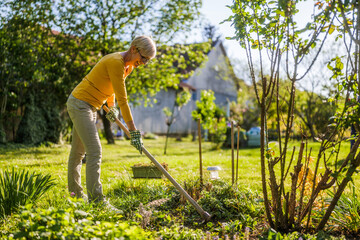 Happy senior woman gardening in her yard. She is using garden hoe. - 790818863