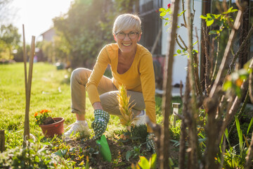 Happy senior woman gardening in her yard. She is is planting a flower. - 790819242