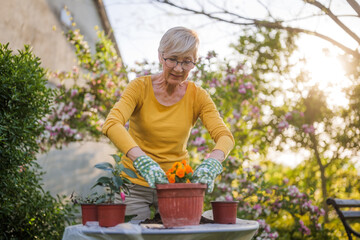 Happy senior woman gardening in her yard. She is planting flowers. - 790819616