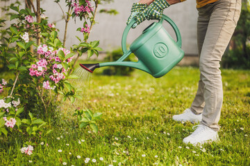 Close up image of senior woman watering plants in her garden. - 790821007