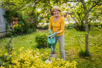 Happy senior woman enjoys watering plants in her garden. - 790821480