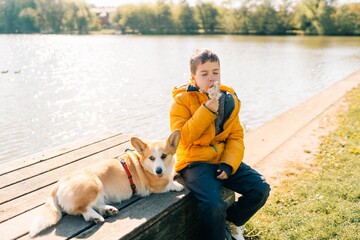 Spring allergies to flowers and corgi dog fur in children