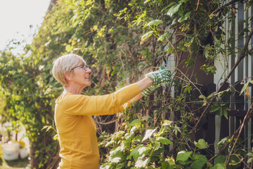 Happy senior woman gardening. She is pruning plants. - 790822280