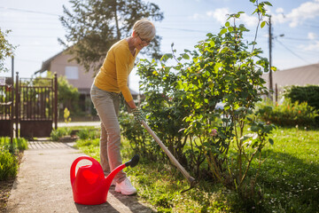 Happy senior woman gardening in her yard. She is using garden hoe. - 790822412