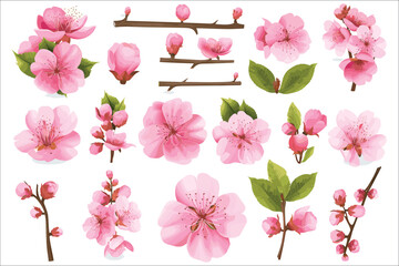 Cherry blossom branch, Spring cherry blooming flowers, Sakura Blossom, Pink cherry blossoms and leaves bouquet, Set of watercolor design cherry blooming flowers