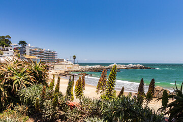 Paisagem da praia de Cochoa em Viña del Mar, com jardim e plantas em primeiro plano e a praia ao fundo - obrazy, fototapety, plakaty