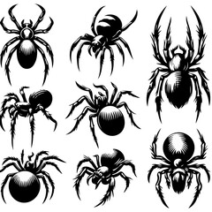 set of black spider icons. Silhouette of black spider - stock vector illustration