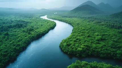 Nature's Majesty: Aerial View of Deep Blue River in Tropical Jungle, generative ai