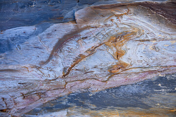 Close up of petrified wood  nature art pattern surface background