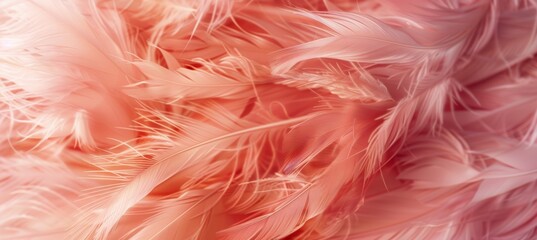 A closeup of soft pink and peach feathers, creating an abstract background with a dreamy texture. Fluffy feathers on an elegant flamingo's tail for use as background or texture.