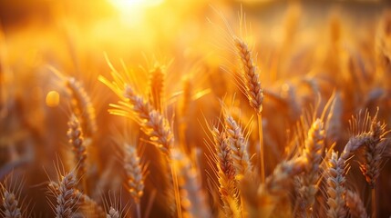 Fototapeta premium Bountiful Harvest Season, generative ai