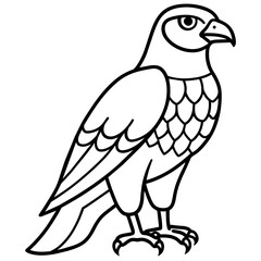 Beautiful falcon-deity-perched - Vector - Vector art - Vector illustration - Vector design - Latest Vector - Ultimate Vector - Premium Vector - Vector pro - Premium illustration