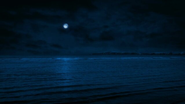 Sea And Coast In The Moonlight
