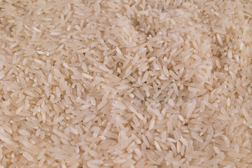 Photograph grains of white rice 