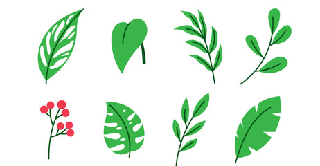 tropical green leaves icon object leaf foliage