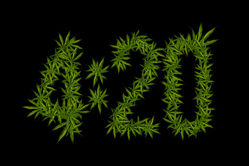 Four-twenty time for smoking marijuana. Cannabis leaves on a black background. Figures 420 laid out...