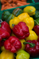 closeup of rain drops on various colors of pepper at the market