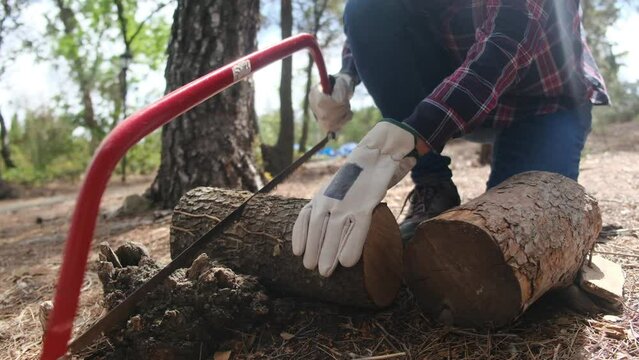 Woman cutting trunk in forest with saw to make firewood, empowered working women in natural and sustainable environment firewood for bonfire and natural heating