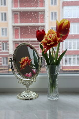 Bouquet of tulips and mirror with reflection of flower on the windowsill at rainy weather.