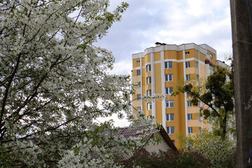 Urban residential building at spring blooming