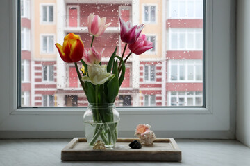 Colorful tulips in vase on the windowsill at rainy weather. Home decor with flowers.
