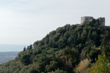 Aghinolfi Castle rises above the country of Montignoso near the city of Massa . Tuscany, Italy - obrazy, fototapety, plakaty