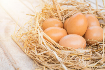 Fresh chicken eggs that are in the nest in a close up view.