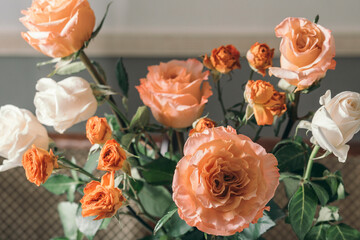 Ephemeral Elegance : A serene collection of peach and white roses that exudes a soft, ephemeral...