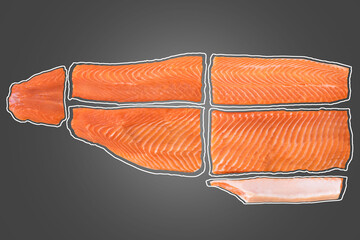 Different salmon pieces and slices. prepare for sushi sashimi making. and attach clipping path.