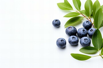 blueberries with leaves,copi space,ai generated