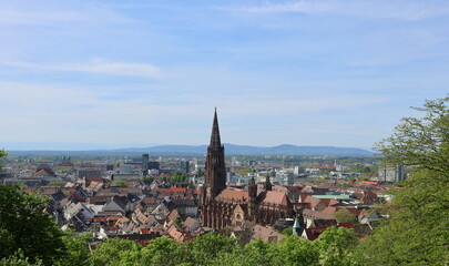 Blick aufs Freiburger Münster im Frühling