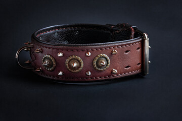 Leather Dog Collar With Spikes Isolated On Black Background, Side View.