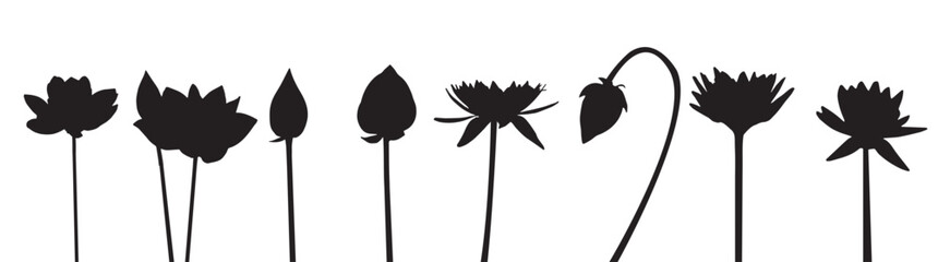 Lotus Flower Vector For Print, Lotus Flower Clipart, Lotus FlowerIllustration  vector  EPS 10