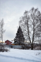 House in the village. Winter, snow, cold