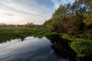 Fototapeta na wymiar Constructed wetlands of Green Cay Nature Center in Boynton Beach, Florida at sunrise on calm winter morning.