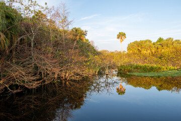 Constructed wetlands of Green Cay Nature Center in Boynton Beach, Florida at sunrise on calm winter morning.