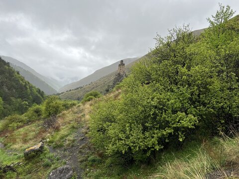The tower complex of Vovnushki. The Republic of Ingushetia, Russia. View of the Ingush defensive towers inside the North Caucasus.