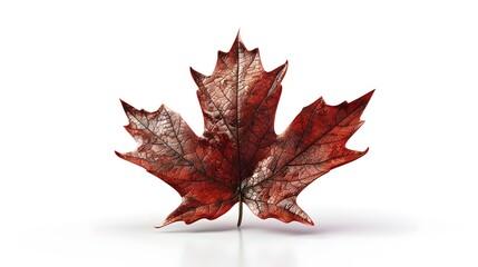 Fototapeta premium Detailed 3D Maple Leaf Icon Symbolizing Autumn and Canadian Heritage