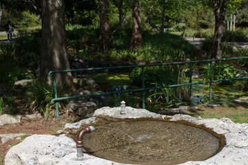 小さなオアシス