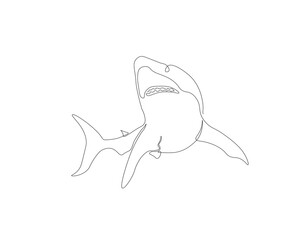 Continuous line drawing of shark. One line of swimming shark. Marine animal concept continuous line art. Editable outline.