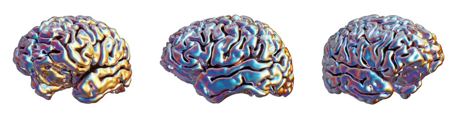 Human brain from different angles in iridescent chrome isolated on transparent background. 3D rendering