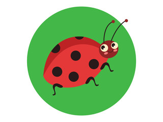Ladybug insect isolated on white background concept. Vector graphic design illustration